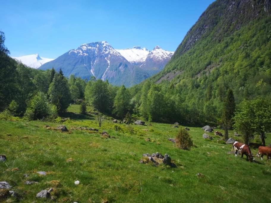 Sogndal Ski- And Mountain Cabin ภายนอก รูปภาพ